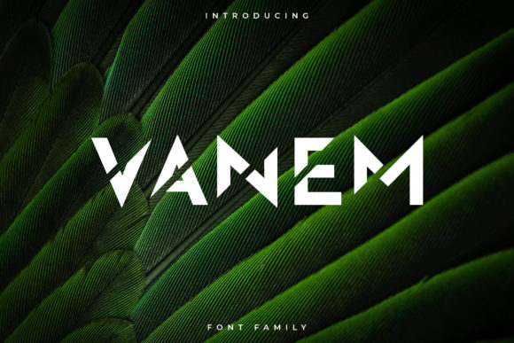Vanem: A Bold Typeface for Modern Branding